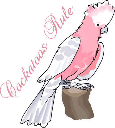 The beautiful cockatoo lives deep in the jungle.  Get a glimpse of this beautiful bird at a zoo.  のイラスト素材