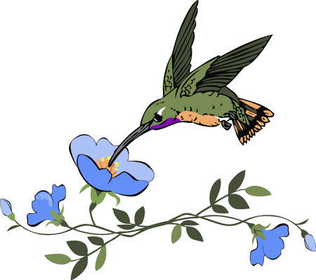 Add life to garden decor with a flower and hummingbird.のイラスト素材