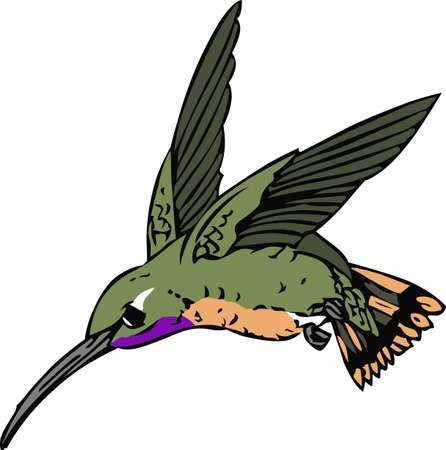 Add life to garden decor with a  hummingbird design.のイラスト素材