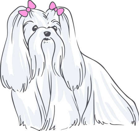 Have a maltese with you always with this cute dog.のイラスト素材
