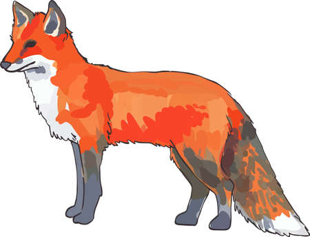 An adorable fox will be nice for any animal lover.