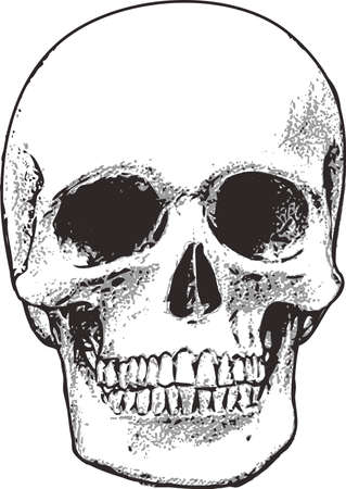 This skull is perfect for Halloween.  Add to your shirt for when you go trick or treating.  Get these designs from Great Notions.のイラスト素材