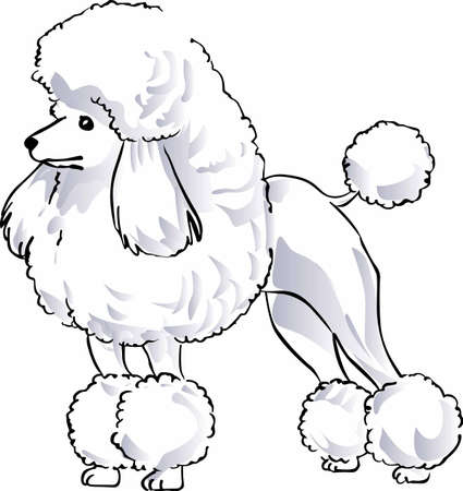 This cute Poodle will be loved by all the kids.のイラスト素材