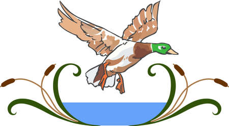 Hunters will love to have this duck in their sights.のイラスト素材