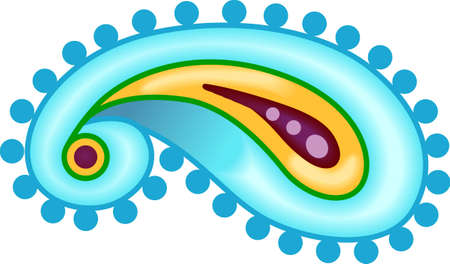 A curly paisley will add interest to a project.のイラスト素材