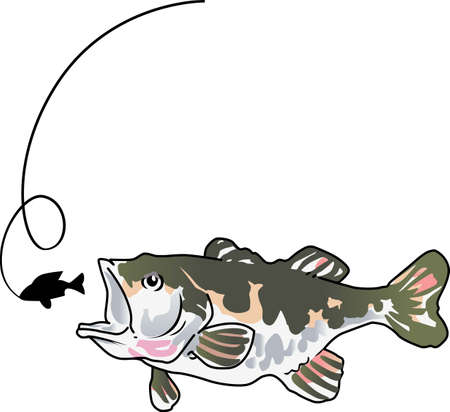 Any fisherman would love to catch this bass.のイラスト素材