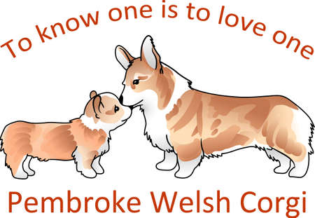 You will love these cute Corgis just like the Queen of England.のイラスト素材