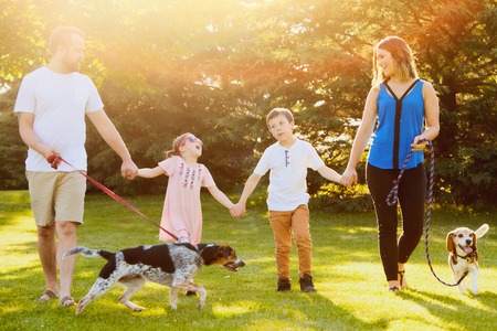 Cheerful family walking together with dogs in parkの写真素材