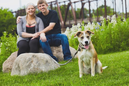 Panting terrier with happy couple in backgroundの写真素材