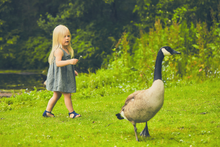 Curious little girl and cackling crane at farmの写真素材