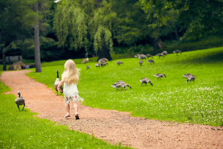 Rear view of little girl walking in farmの写真素材