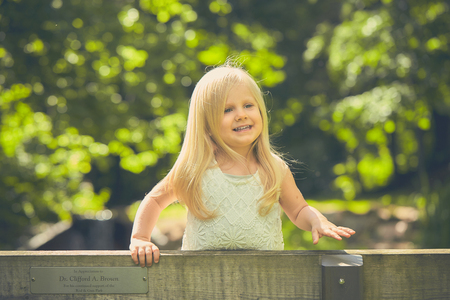 Smiling little girl standing on bench in parkの写真素材