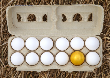 Gold egg with white egg