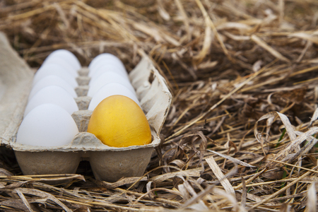 Gold egg with white eggの写真素材