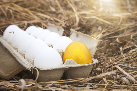 Gold egg with white eggの写真素材