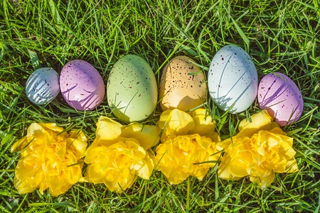 Group of colorful eggs on grass with flowersの写真素材