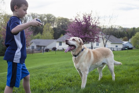 Little boy playing with his dog outsideの写真素材