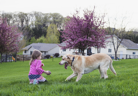 Little girl playing with her dog outsideの写真素材