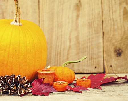 Pumpkins, candles pine cones on grassの写真素材