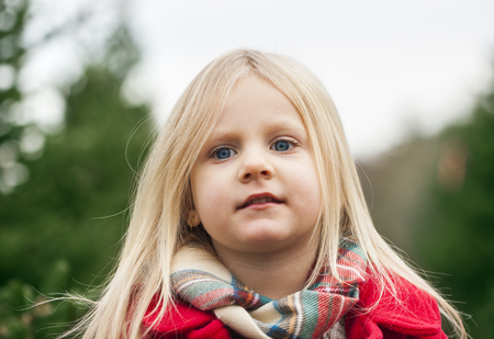 Little girl in fir tree farmの写真素材