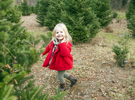Portrait of cheerful little girl walking outside. Cute girl among fir trees outdoorsの写真素材