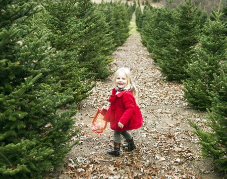 Portrait of happy little girl walking with lantern among fir trees. Girl wearing red coat walking in winterの写真素材