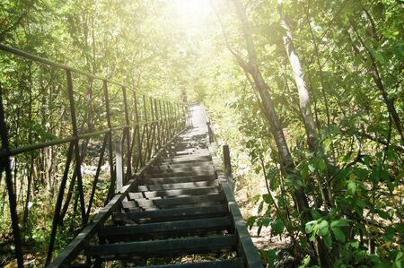 Metal stairs going up to sun in forest. Light in the end concept.の写真素材