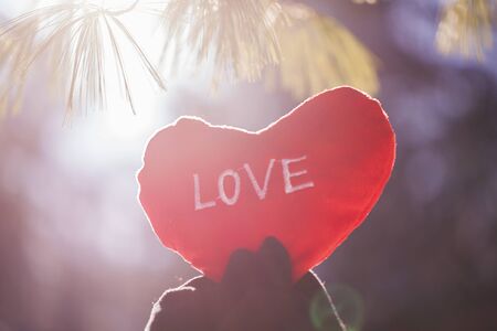 Female hands holding red heart in park. Love conceptの写真素材