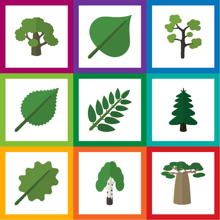 Flat Icon Bio Set Of Linden, Alder, Hickory And Other Vector Objects. Also Includes Alder, Foliage, Hickory Elements.のイラスト素材