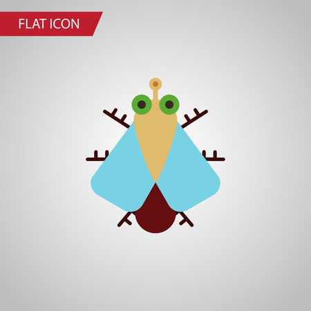 Isolated Housefly Flat Icon. Tiny Vector Element Can Be Used For Tiny, Housefly, Fly Design Concept.のイラスト素材