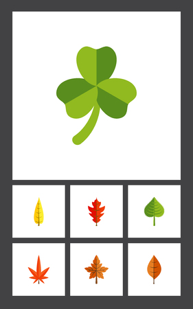 Flat Icon Maple Set Of Alder, Foliage, Maple And Other Vector Objects. Also Includes Maple, Aspen, Foliage Elements.のイラスト素材