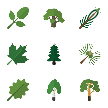 Flat Icon Ecology Set Of Rosemary, Park, Tree And Other Vector Objects. Also Includes Alder, Park, Wood Elements.のイラスト素材