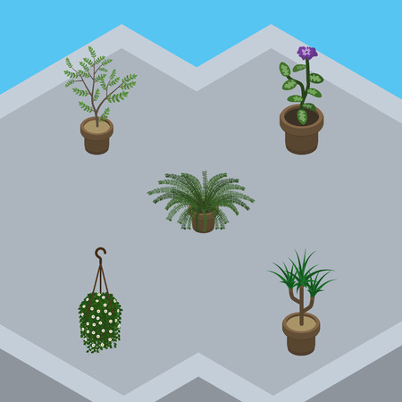 Isometric Houseplant Set Of Blossom, Plant, Fern And Other Vector Objects. Also Includes Plant, Hanging, Flowerpot Elements.のイラスト素材