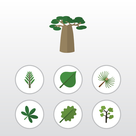 Flat Icon Natural Set Of Baobab, Jungle, Alder And Other Vector Objects. Also Includes Timber, Leaf, Oaken Elements.のイラスト素材