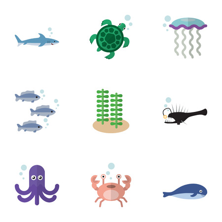 Flat Icon Sea Set Of Cachalot, Cancer, Tortoise And Other Vector Objects. Also Includes Angler, Spirulina, Seafood Elements.のイラスト素材
