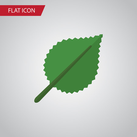 Isolated Alder Flat Icon. Linden Vector Element Can Be Used For Alder, Linden, Leaf Design Concept.のイラスト素材