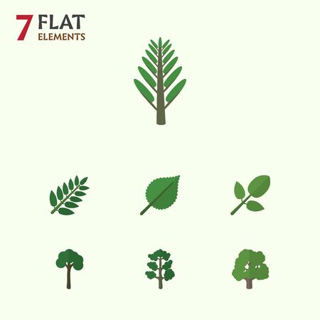 Flat Icon Nature Set Of Acacia Leaf, Evergreen, Decoration Tree And Other Vector Objects. Also Includes Evergreen, Tree, Leaves Elements.のイラスト素材