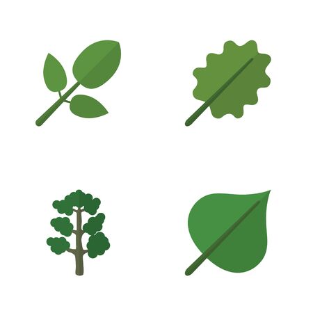 Flat Icon Natural Set Of Alder, Foliage, Hickory And Other Vector Objects. Also Includes Foliage, Alder, Oak Elements.のイラスト素材