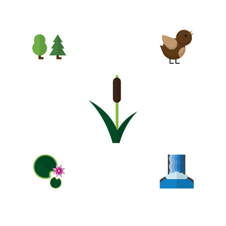 Flat Icon Ecology Set Of Cattail, Lotus, Cascade And Other Vector Objects. Also Includes Reed, Grass, Lotus Elements.のイラスト素材