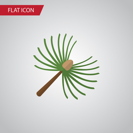 Isolated Spruce Leaves Flat Icon. Rosemary Vector Element Can Be Used For Rosemary, Spruce, Leaves Design Concept.のイラスト素材