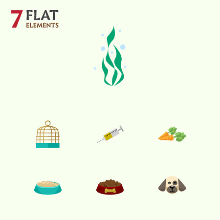 Flat Icon Pets Set Of Bird Prison, Root Vegetable, Seaweed And Other Vector Objects. Also Includes Dog, Medicine, Puppy Elements.のイラスト素材