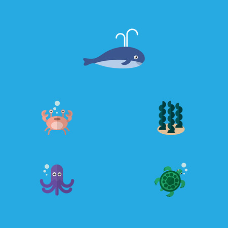 Flat Icon Marine Set Of Tentacle, Tortoise, Alga And Other Vector Objects. Also Includes Whale, Sea, Squid Elements.のイラスト素材