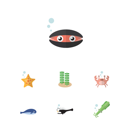 Flat Icon Sea Set Of Cachalot, Seaweed, Sea Star And Other Vector Objectsのイラスト素材