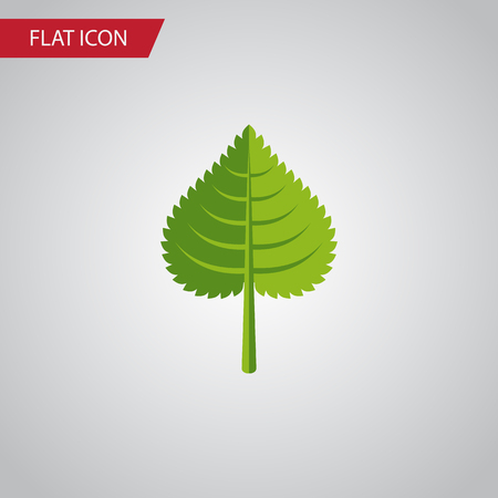 Isolated Foliage Flat Iconのイラスト素材