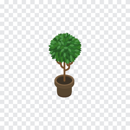 Tree Vector Element Can Be Used For Flower, Flowerpot, Plant Design Concept.  Isolated Blossom Isometric.のイラスト素材