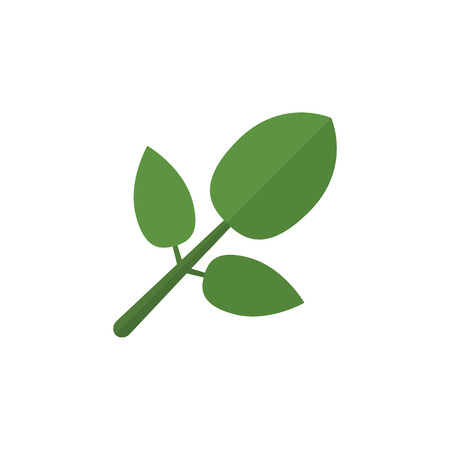 Isolated Hickory Flat Icon. Foliage Vector Element Can Be Used For Hickory, Foliage, Leaf Design Concept.のイラスト素材