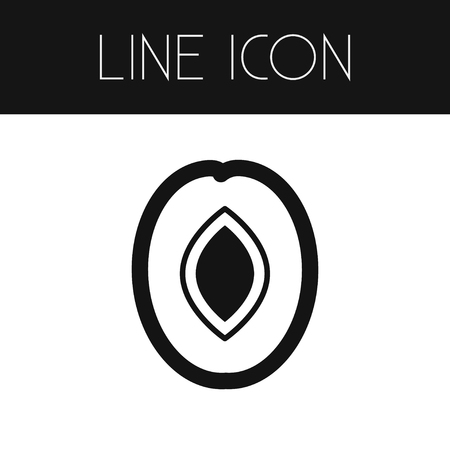 Organic Vector Element Can Be Used For Fruit, Plum, Sweet Design Concept.  Isolated Tasty Outline.のイラスト素材