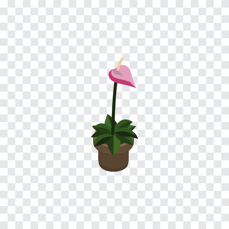 Grower Vector Element Can Be Used For Flower, Flowerpot, Plant Design Concept.  Isolated Herb Isometric.のイラスト素材