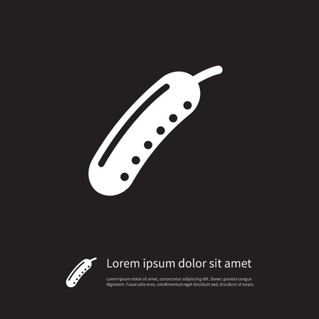 Zucchini Vector Element Can Be Used For Zucchini, Cucumber, Pickles Design Concept.  Isolated Cucumber Icon.のイラスト素材