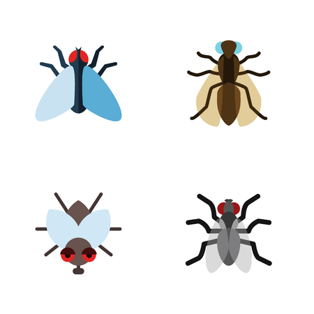Flat Icon Buzz Set Of Housefly, Mosquito, Buzz And Other Vector Objects. Also Includes Housefly, Hum, Buzz Elements.のイラスト素材